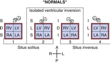 van praagh classification system